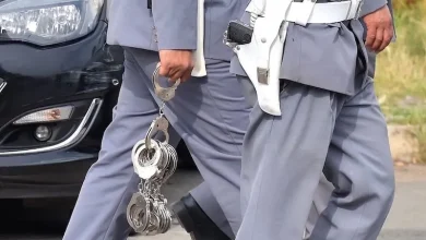 Taroudant ... De Gendarmerie maakt een einde aan de grootste activiteit van medicatie -activiteiten na 16 onderzoeksnotities