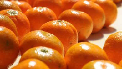 Marokkaanse zuren komen de Japanse markt binnen