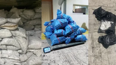 Dwarsboom de smokkel van 514 kg cocaïne in de haven van Tanger