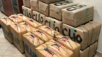 صورة من الأرشيف
