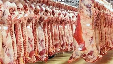 أزمة مرتقبة في مجزرة بوقنادل تُنذر باختلال في الأمن الغذائي بجهة الرباط سلا القنيطرة