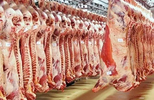 أزمة مرتقبة في مجزرة بوقنادل تُنذر باختلال في الأمن الغذائي بجهة الرباط سلا القنيطرة
